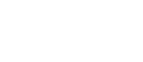 Origins of the LEI system